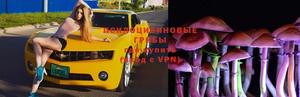 мдпв Заволжье