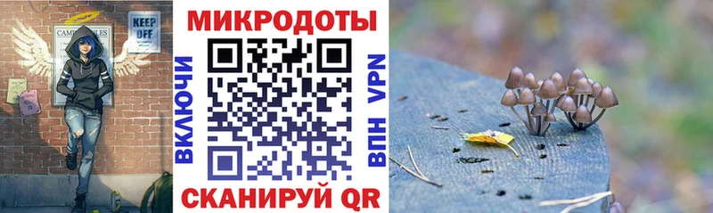 цена наркотик  Слюдянка  OMG ТОР  Псилоцибиновые грибы Psilocybine cubensis 